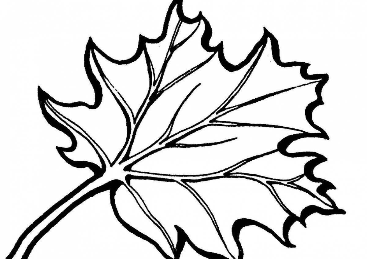 Maple leaf #11