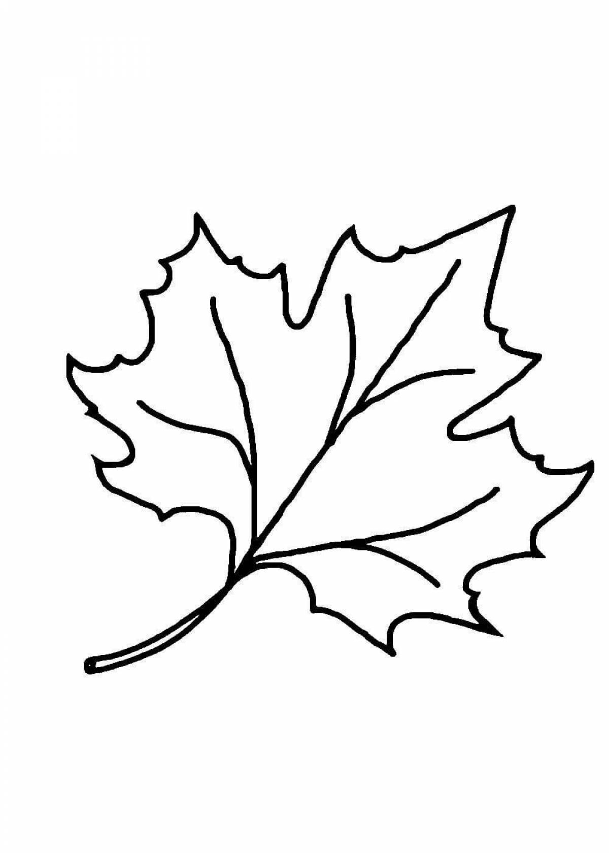 Maple leaf #28