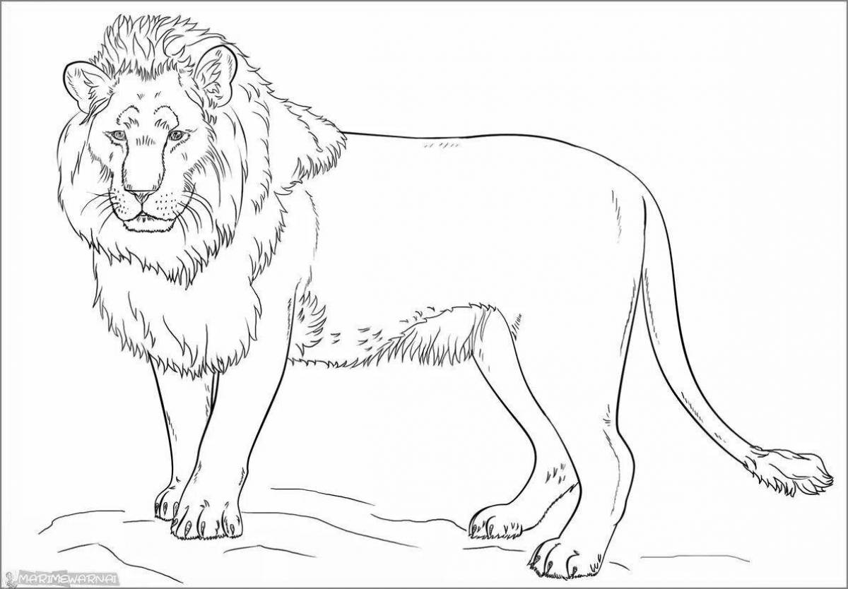 Coloring page elegant african lion