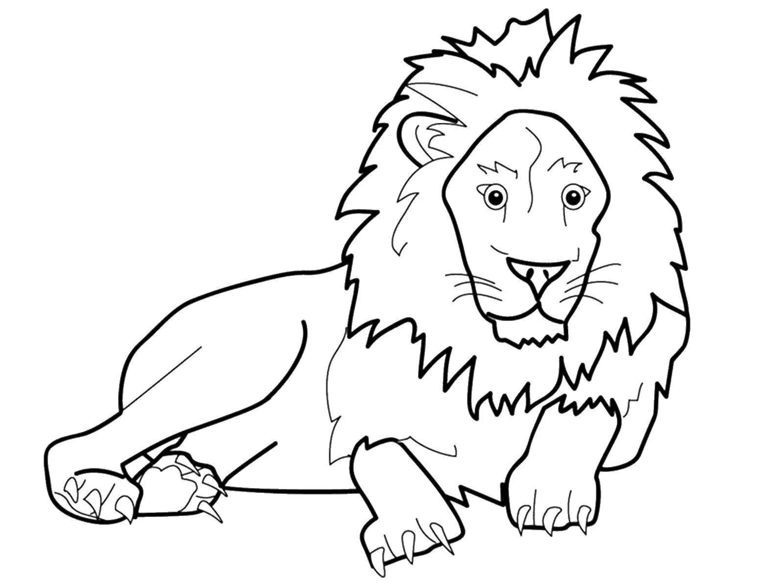 African lion #5