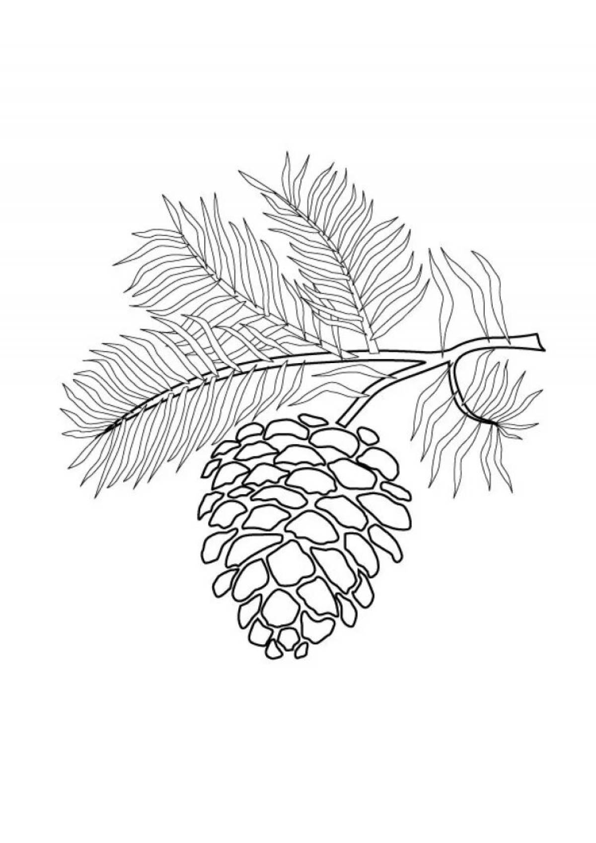 Photo Christmas branch #5