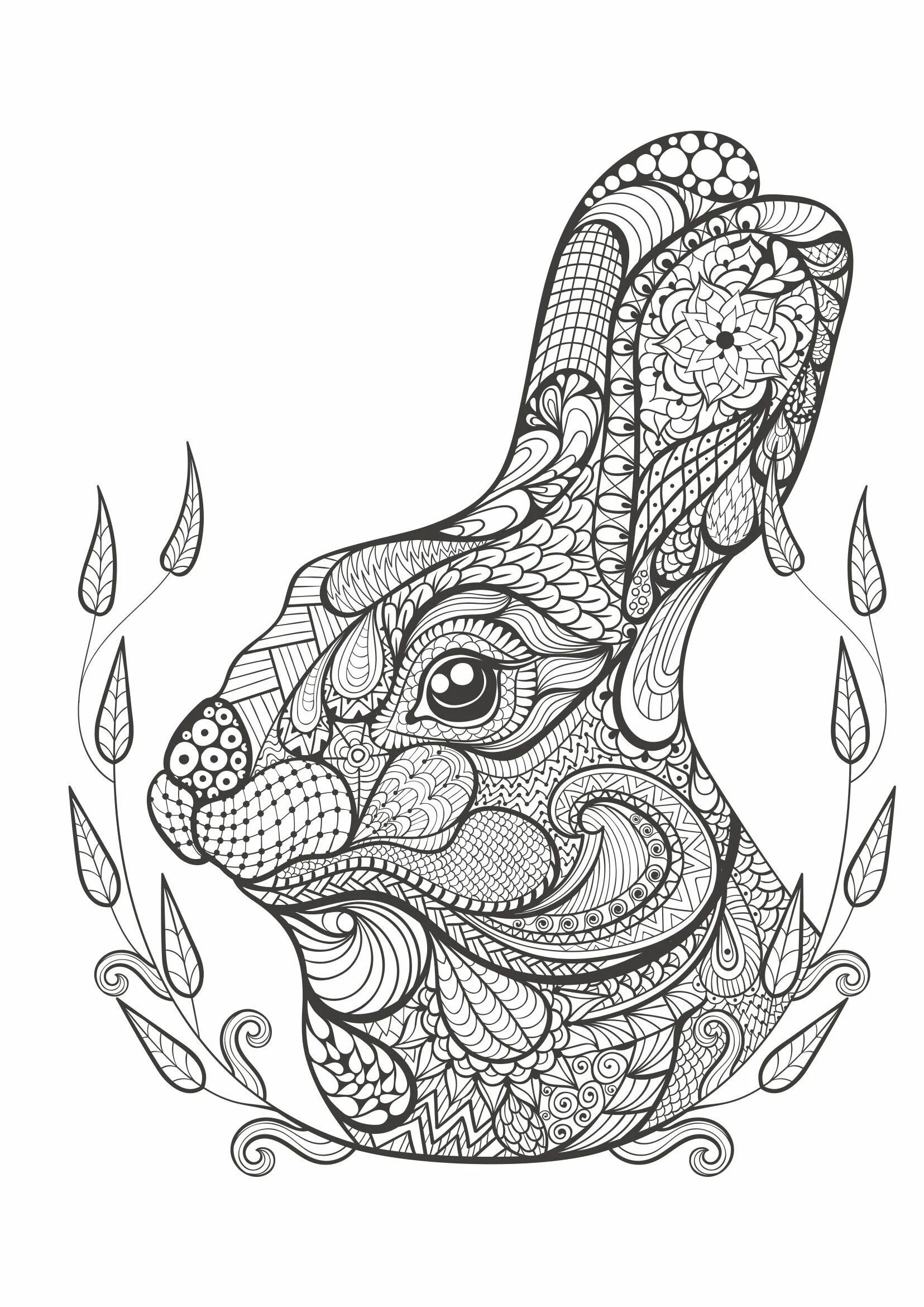 Beautiful animal coloring pages