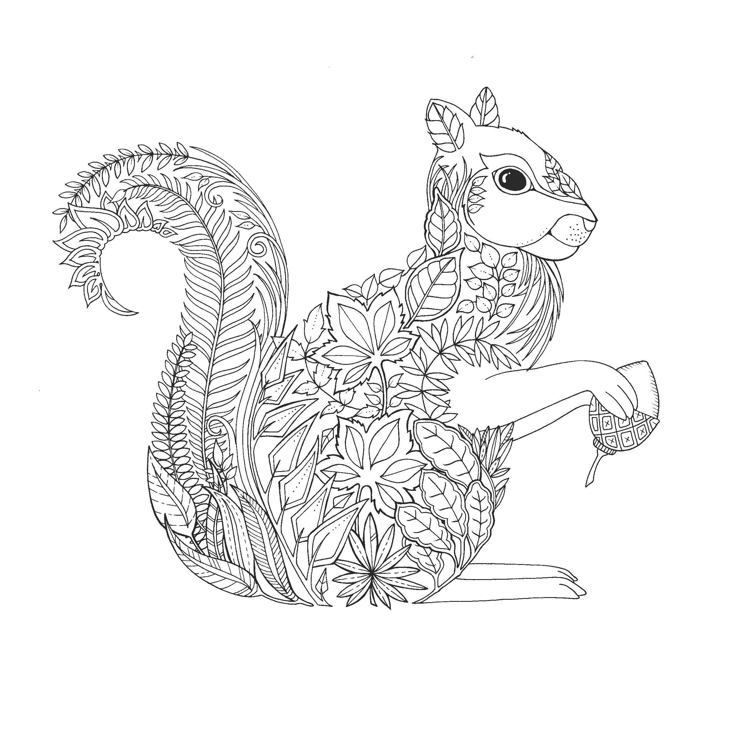 Stylish animal coloring pages