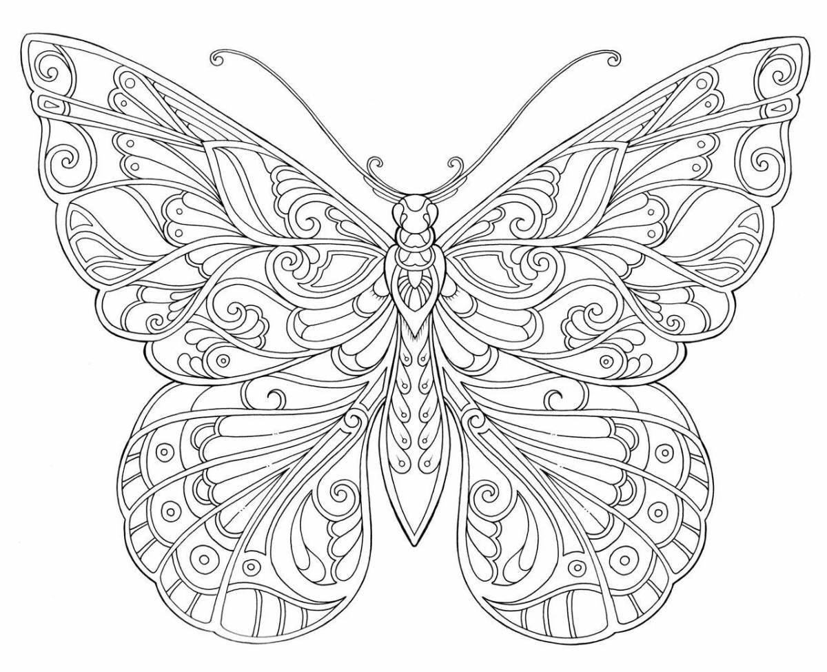 Bright butterfly coloring