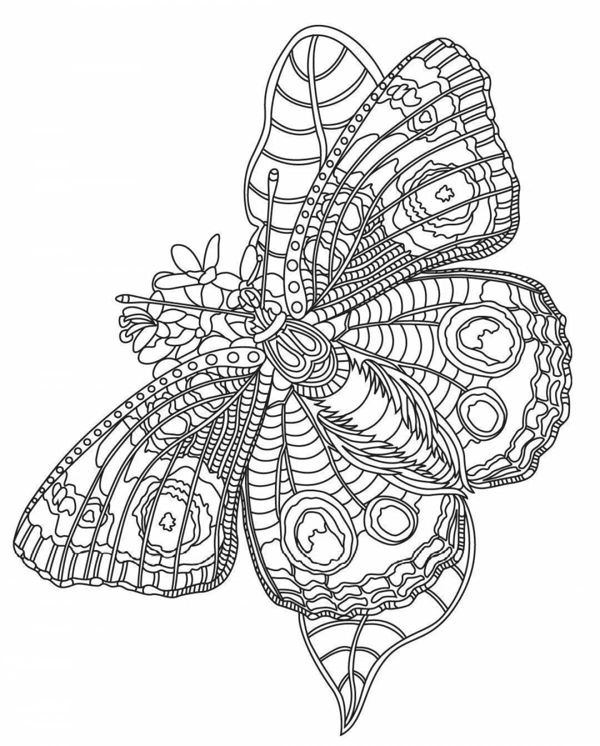 Elegant butterfly coloring book