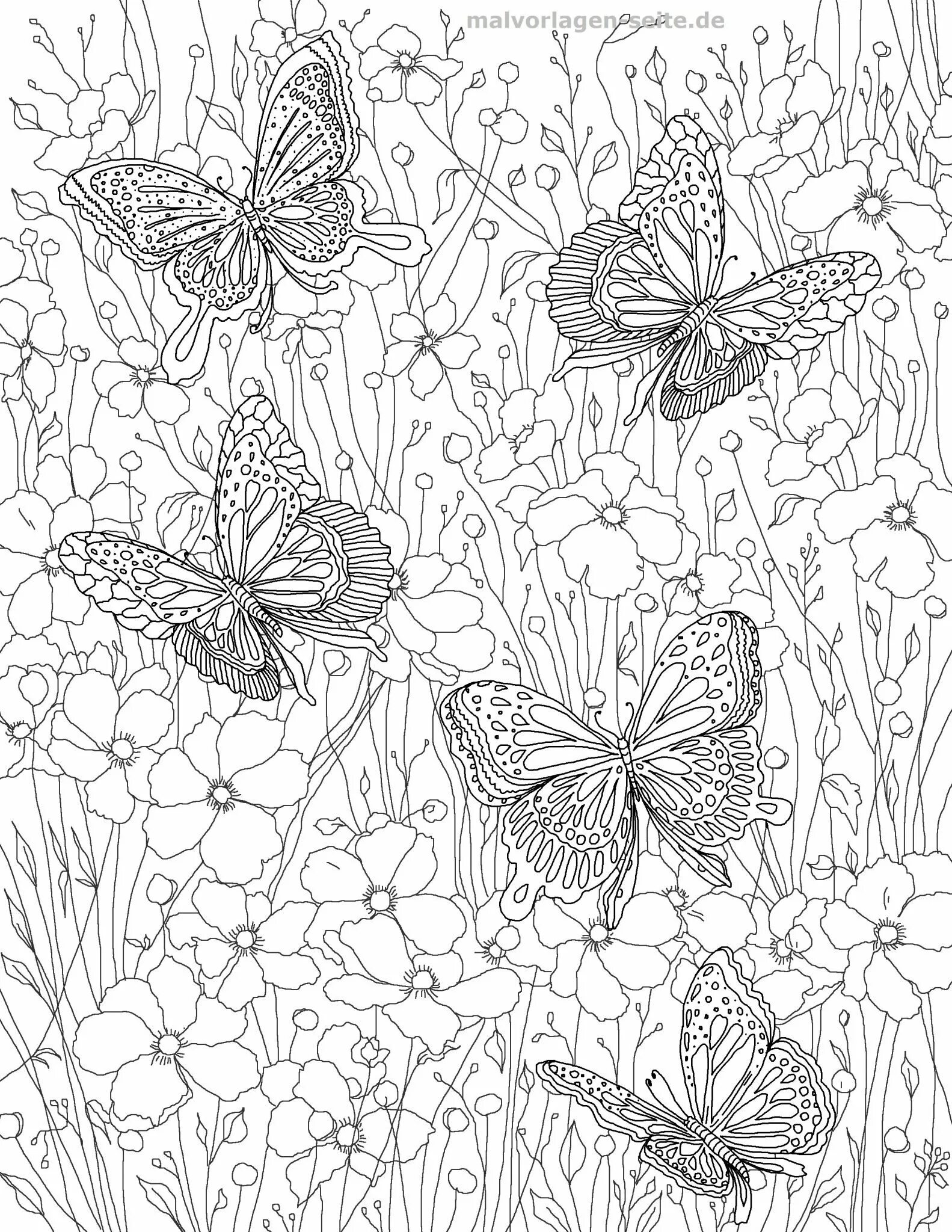 Playful coloring of the butterfly complex