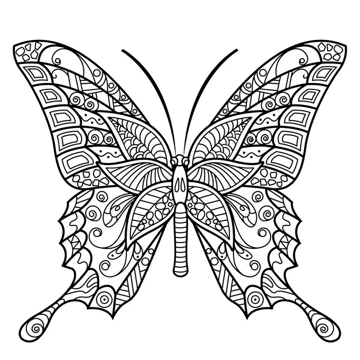 Luxury butterfly coloring book