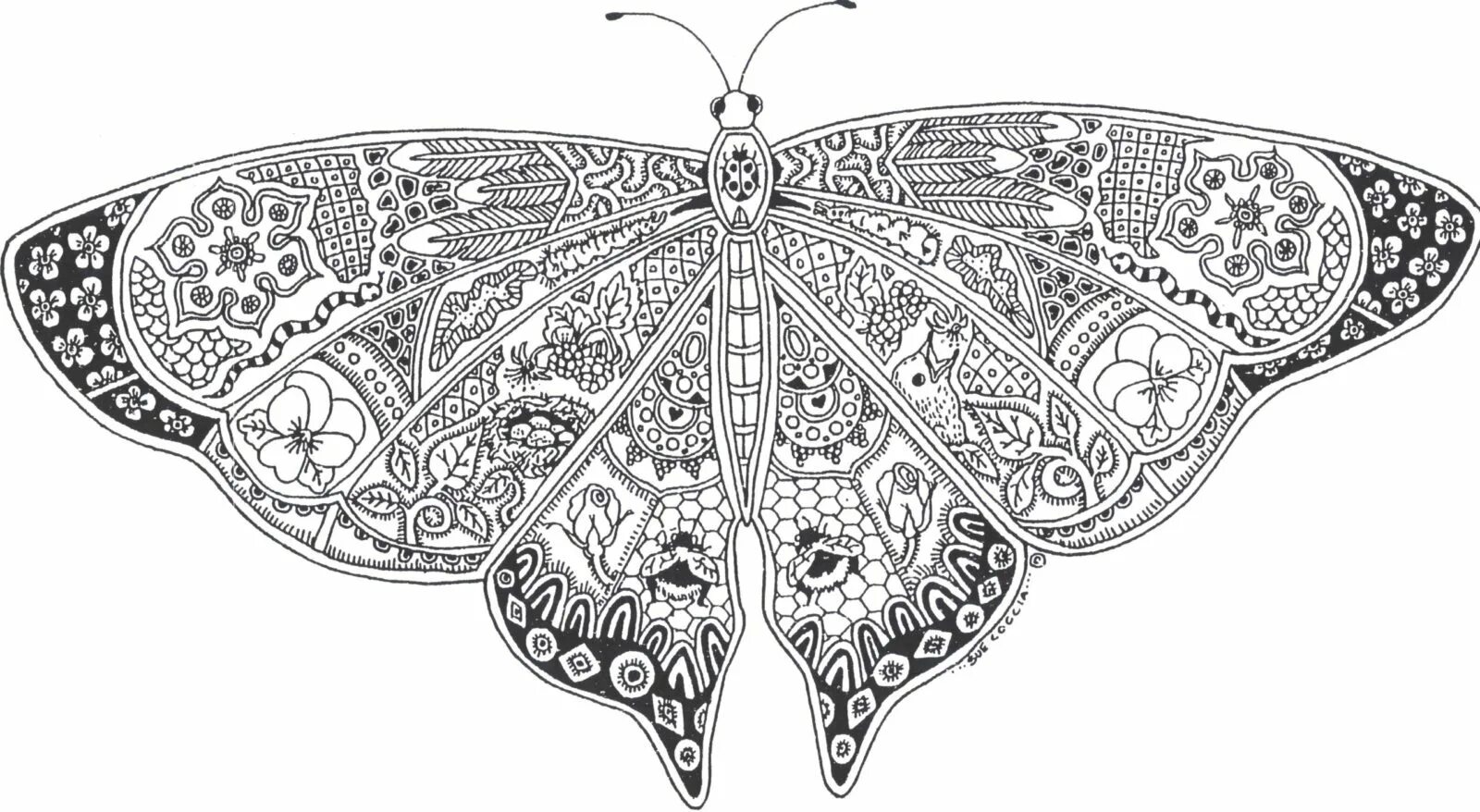 Complex butterflies #4
