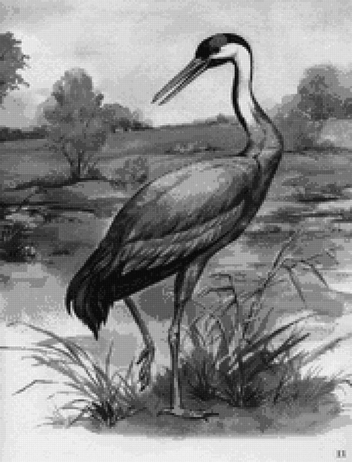 Веселая журка пришвин раскраска