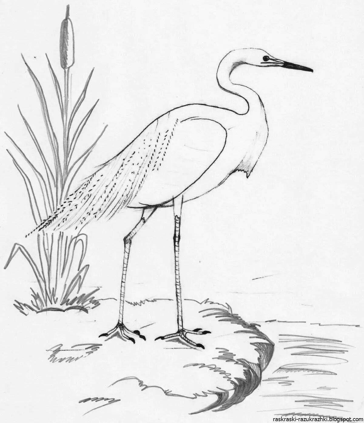 Веселый журка пришвин раскраска