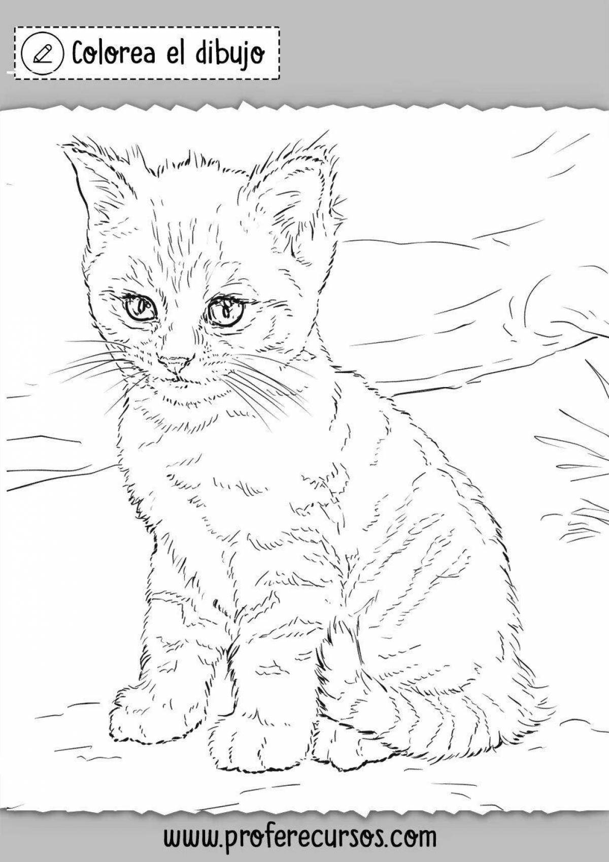 Как разукрасить кота