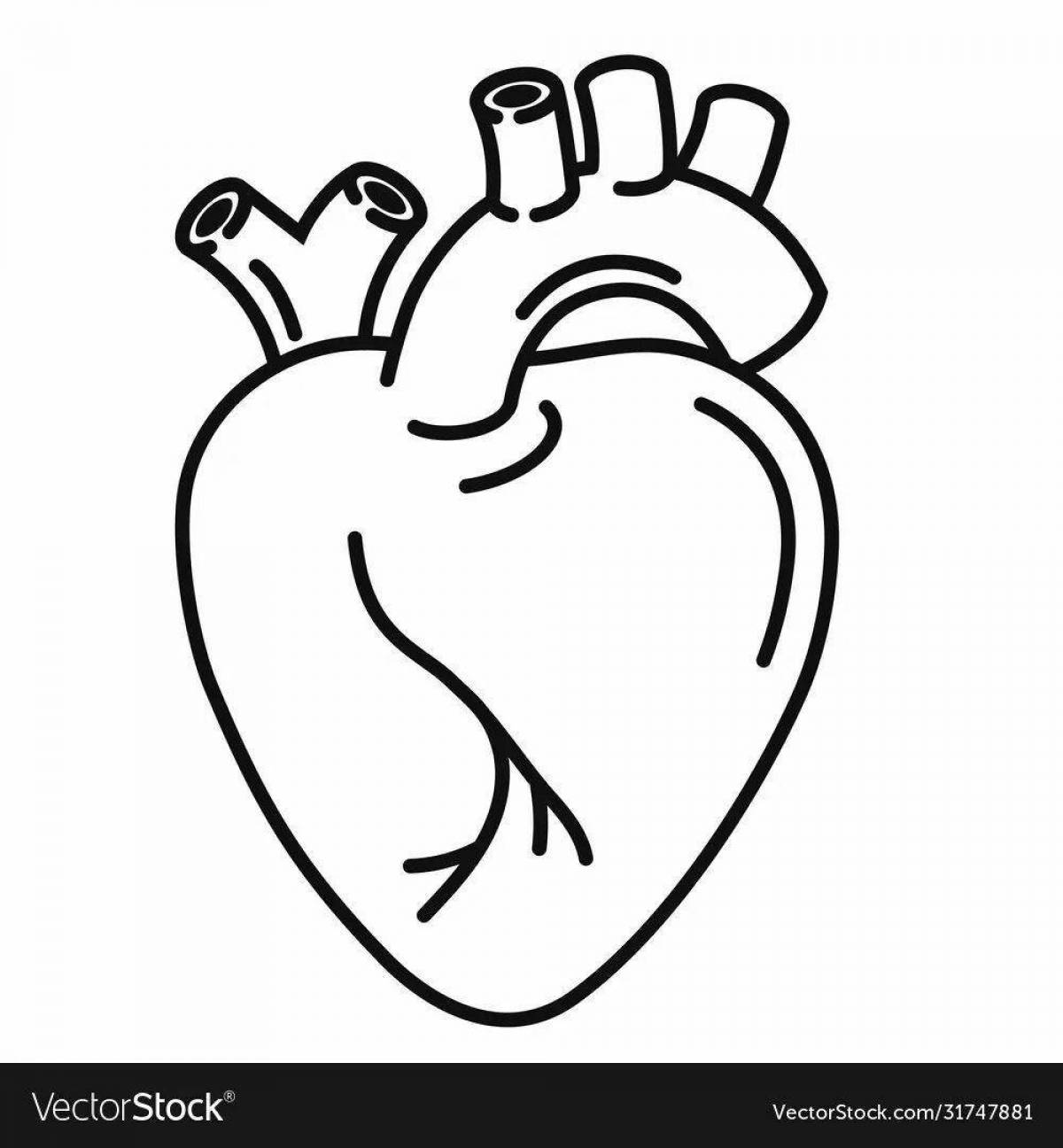 Яркая раскраска сердечный орган