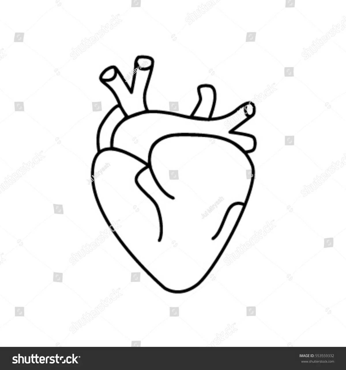Светящаяся раскраска сердце орган