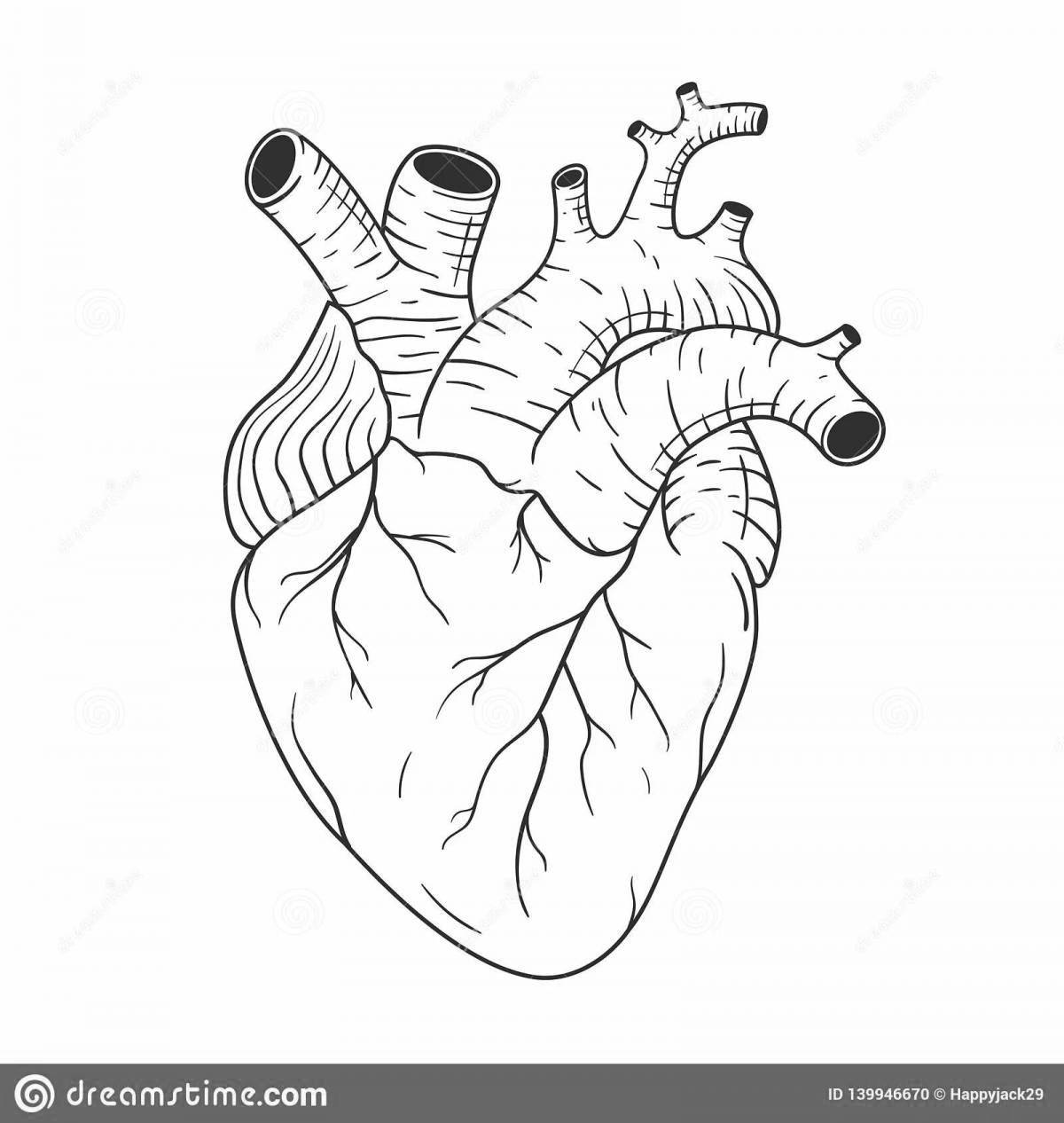 Dazzling coloring heart organ