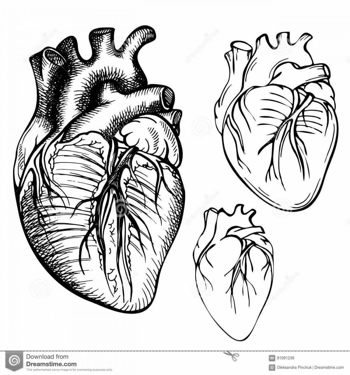 Fantastic heart organ coloring page