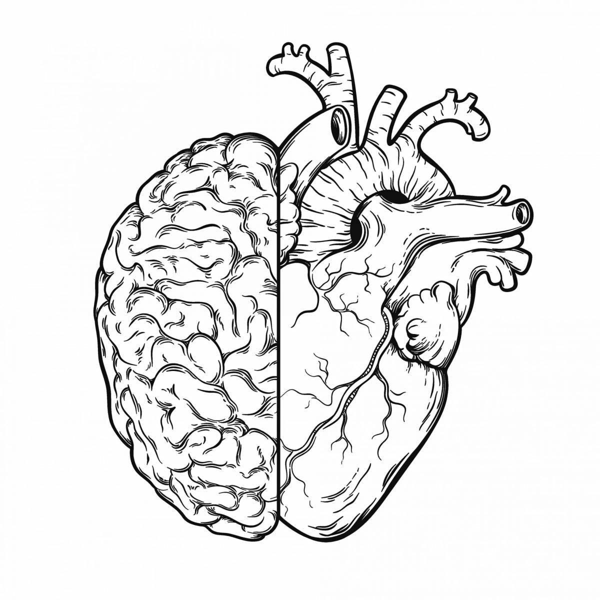Фантастическая раскраска сердце орган