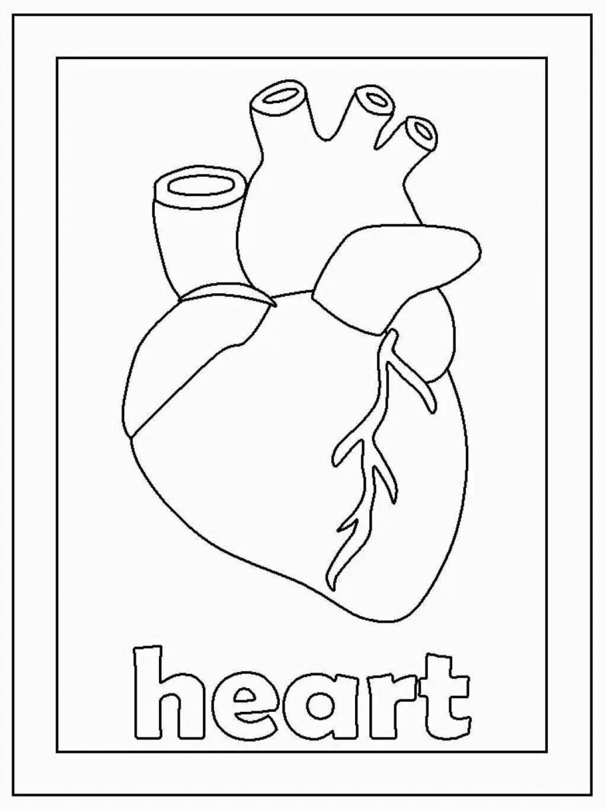 Impressive heart organ coloring book