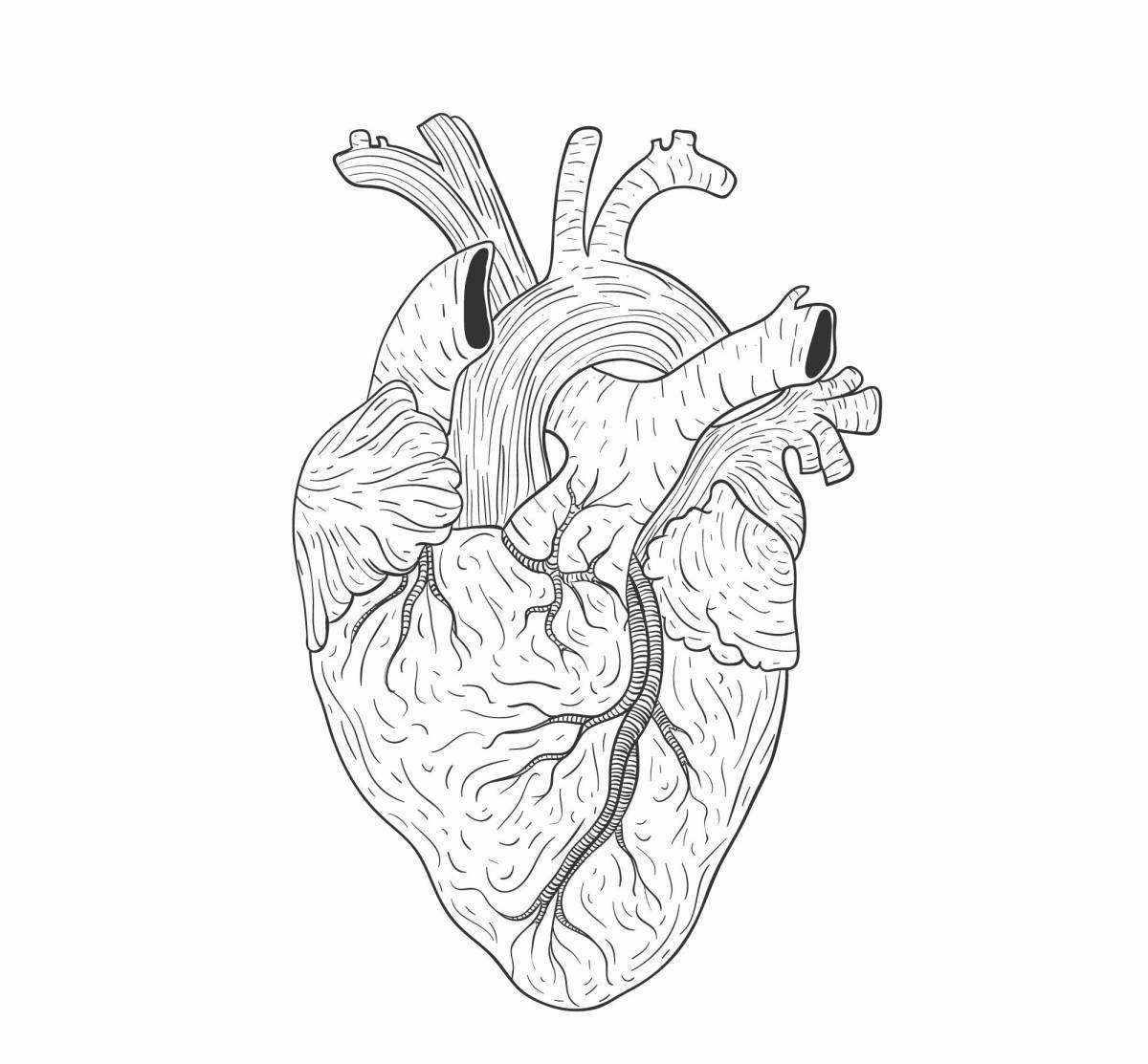 Intricate coloring pages heart organ