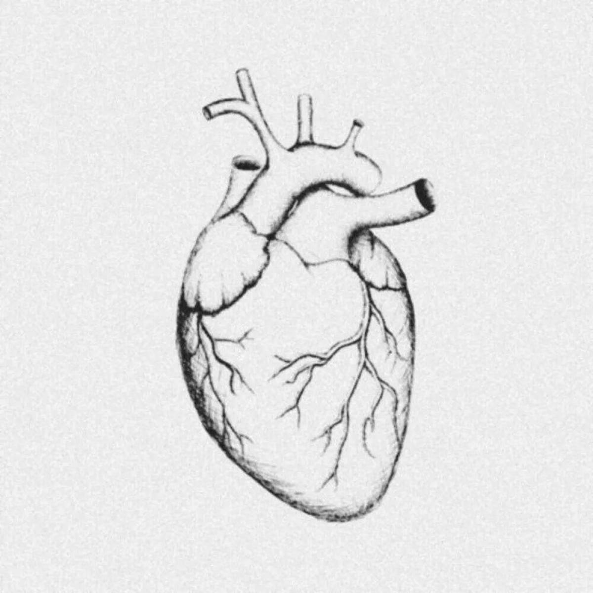 Animated heart organ coloring book