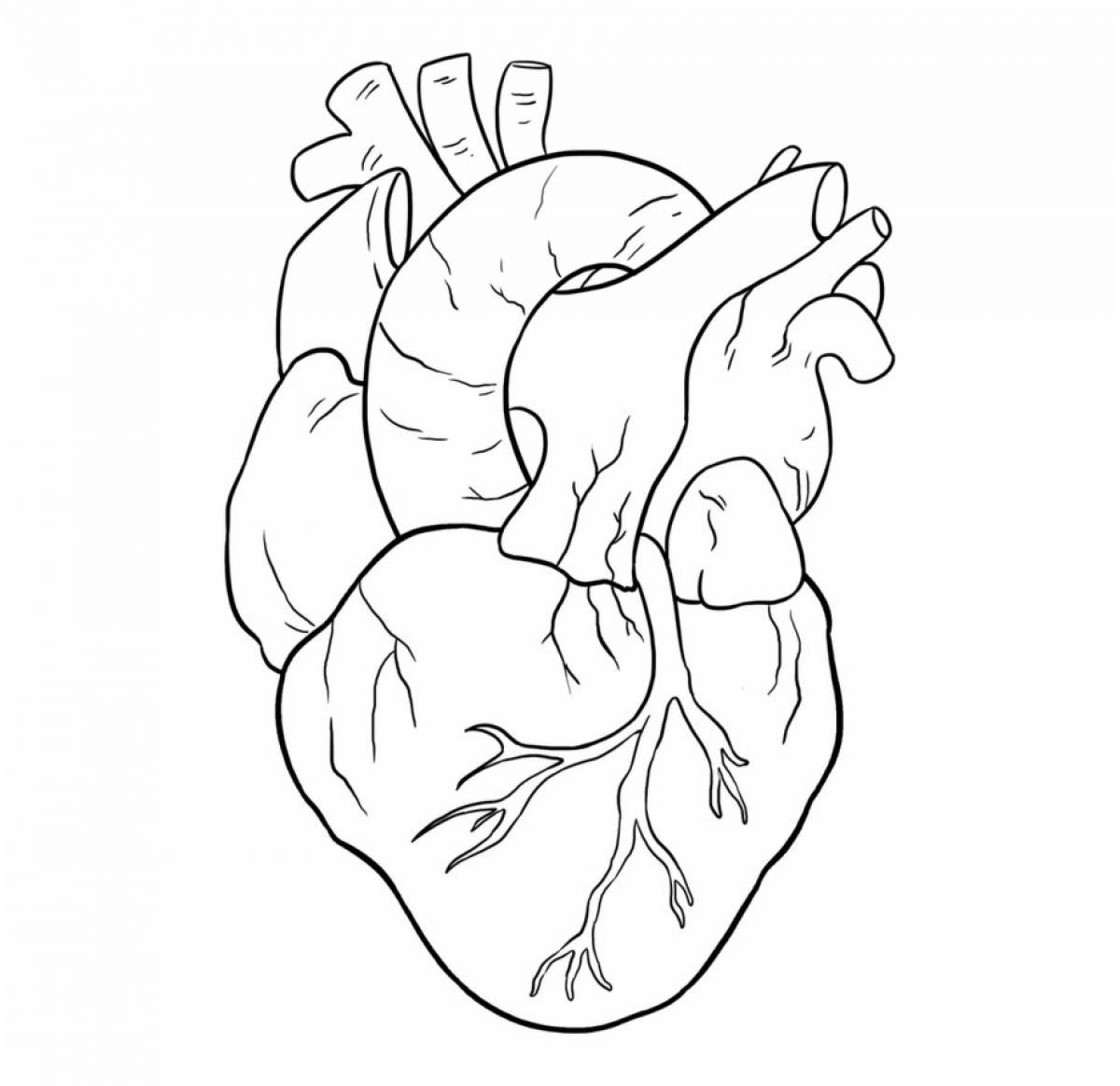 Причудливая раскраска сердечный орган
