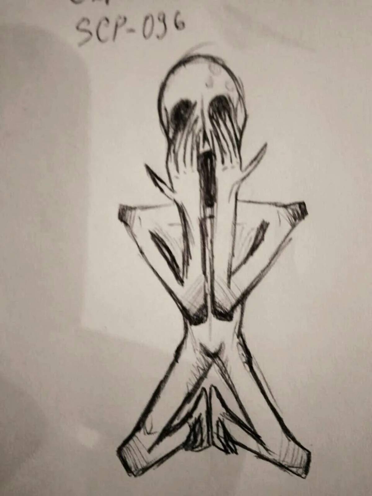 096 scp #8