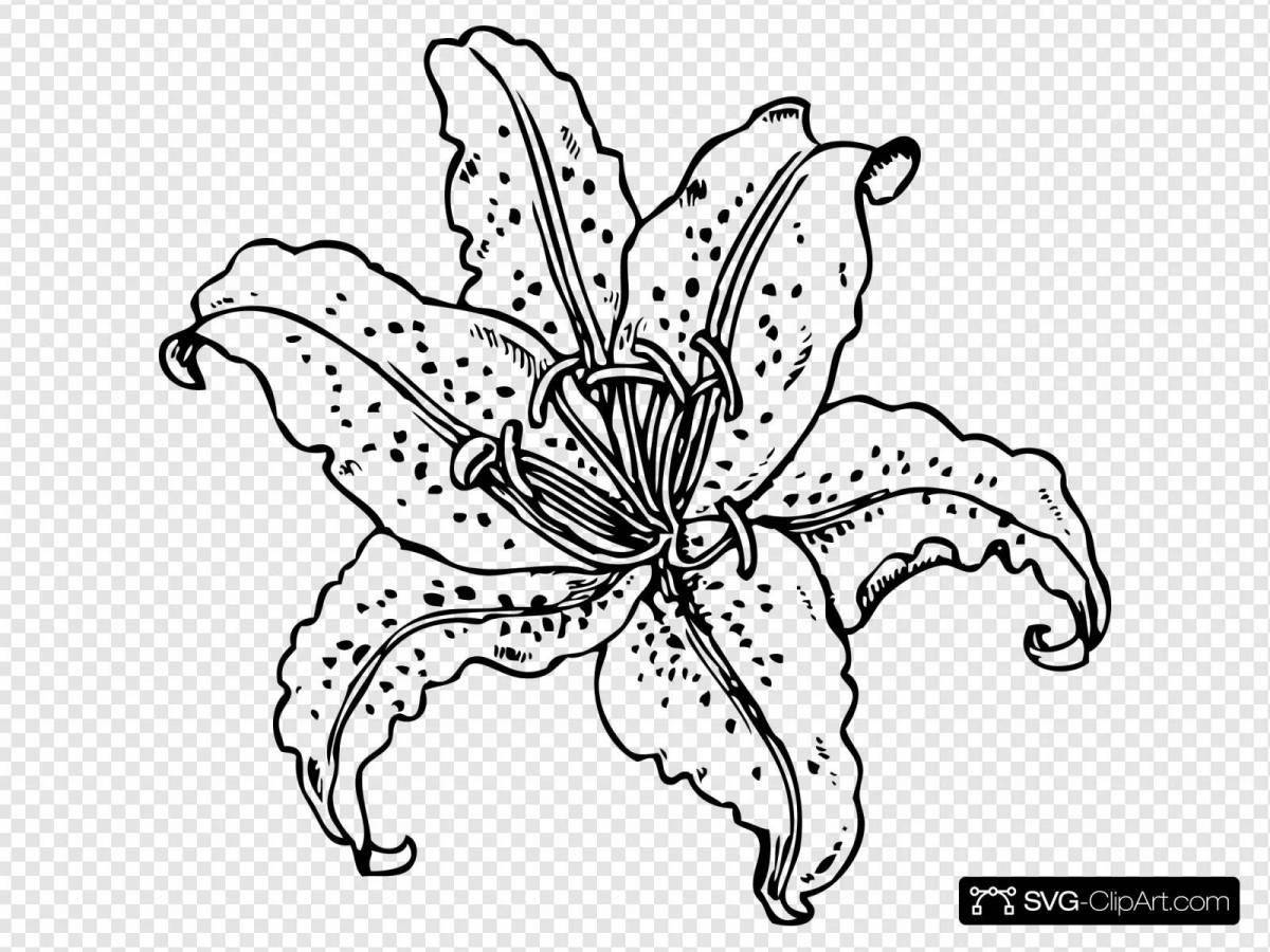 Tender sea lily coloring page