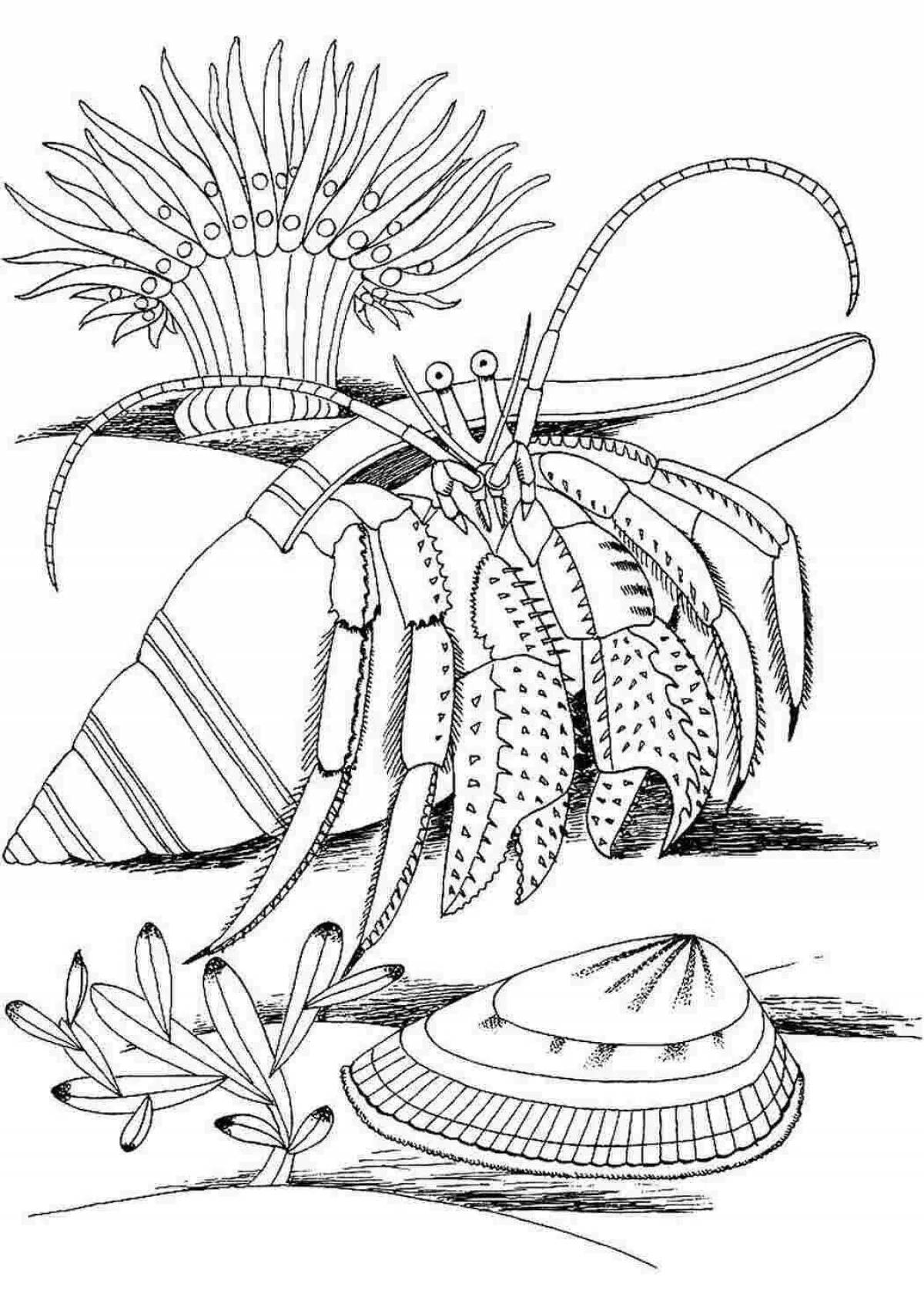 Gorgeous sea lily coloring page