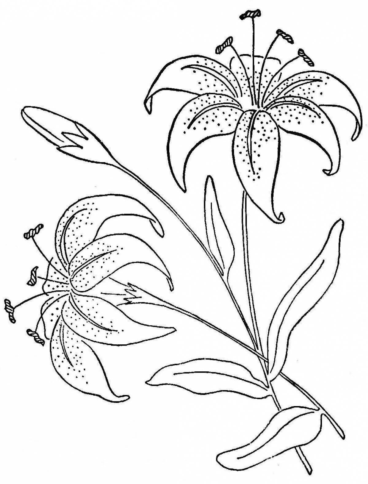 Adorable sea lily coloring page