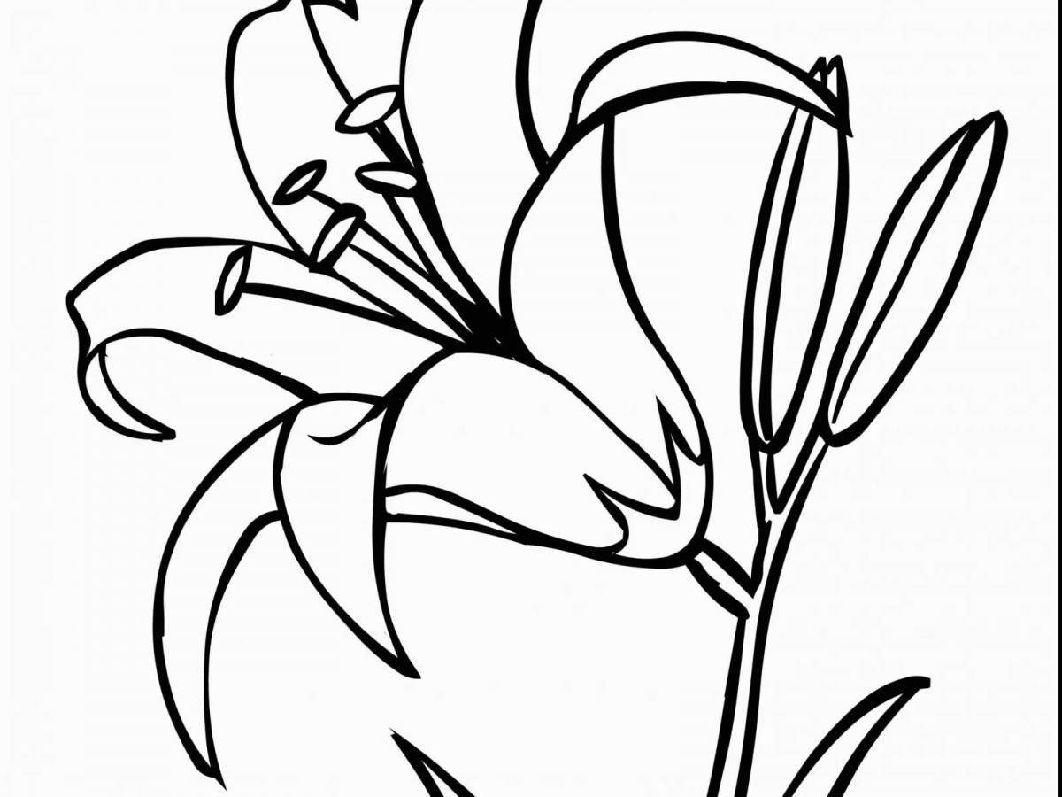 Exquisite sea lily coloring page