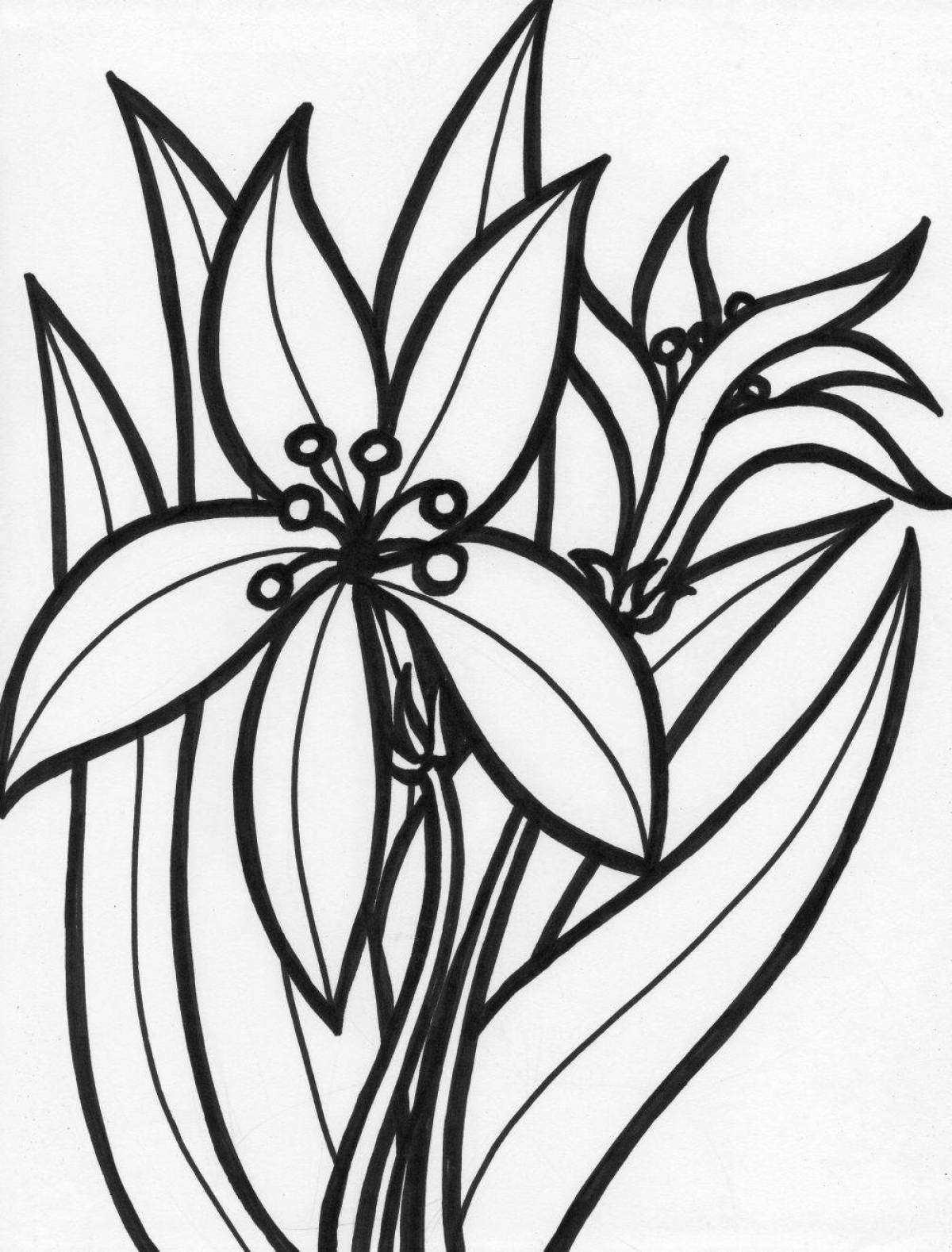 Coloring page graceful sea lily