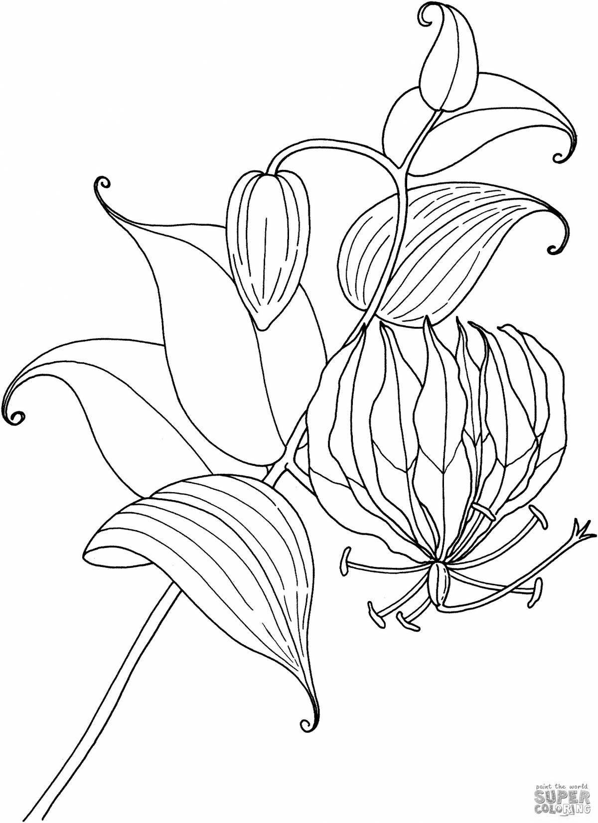 Awesome sea lily coloring page