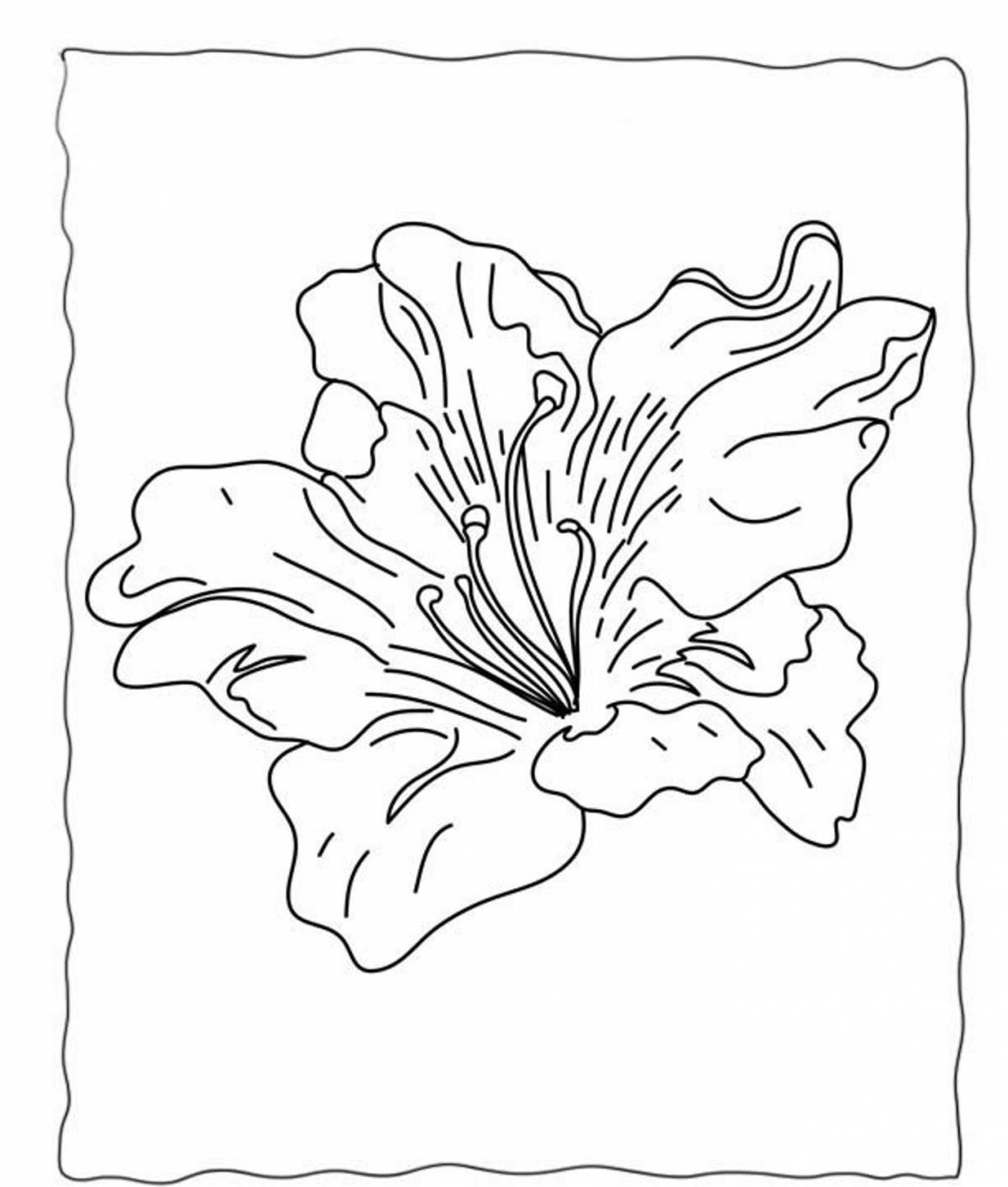 Exotic sea lily coloring page