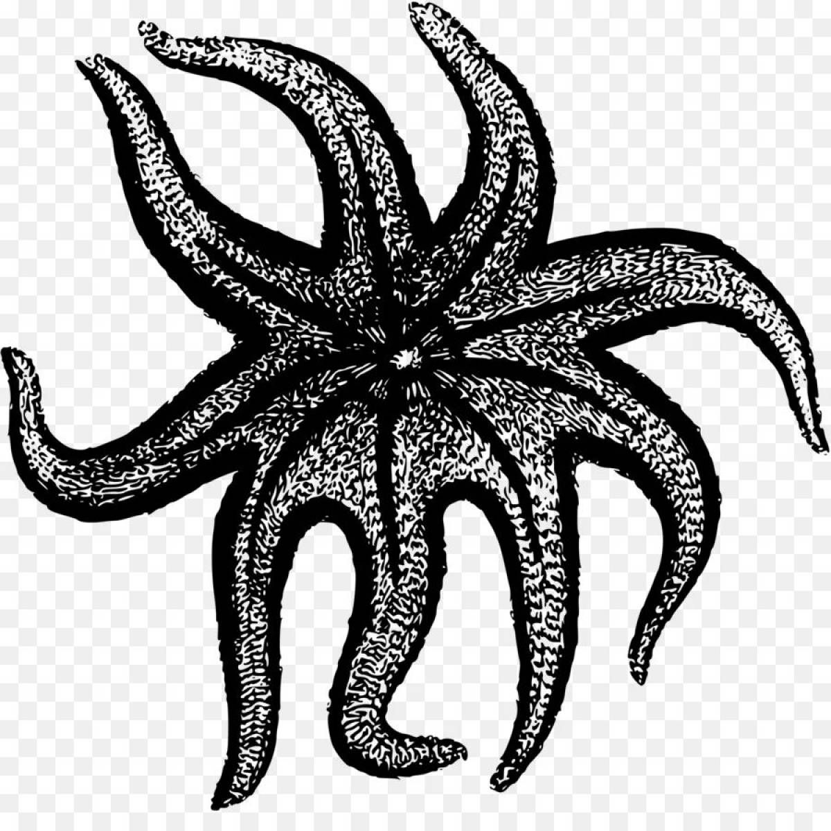 Photo Coloring dreamy sea lily