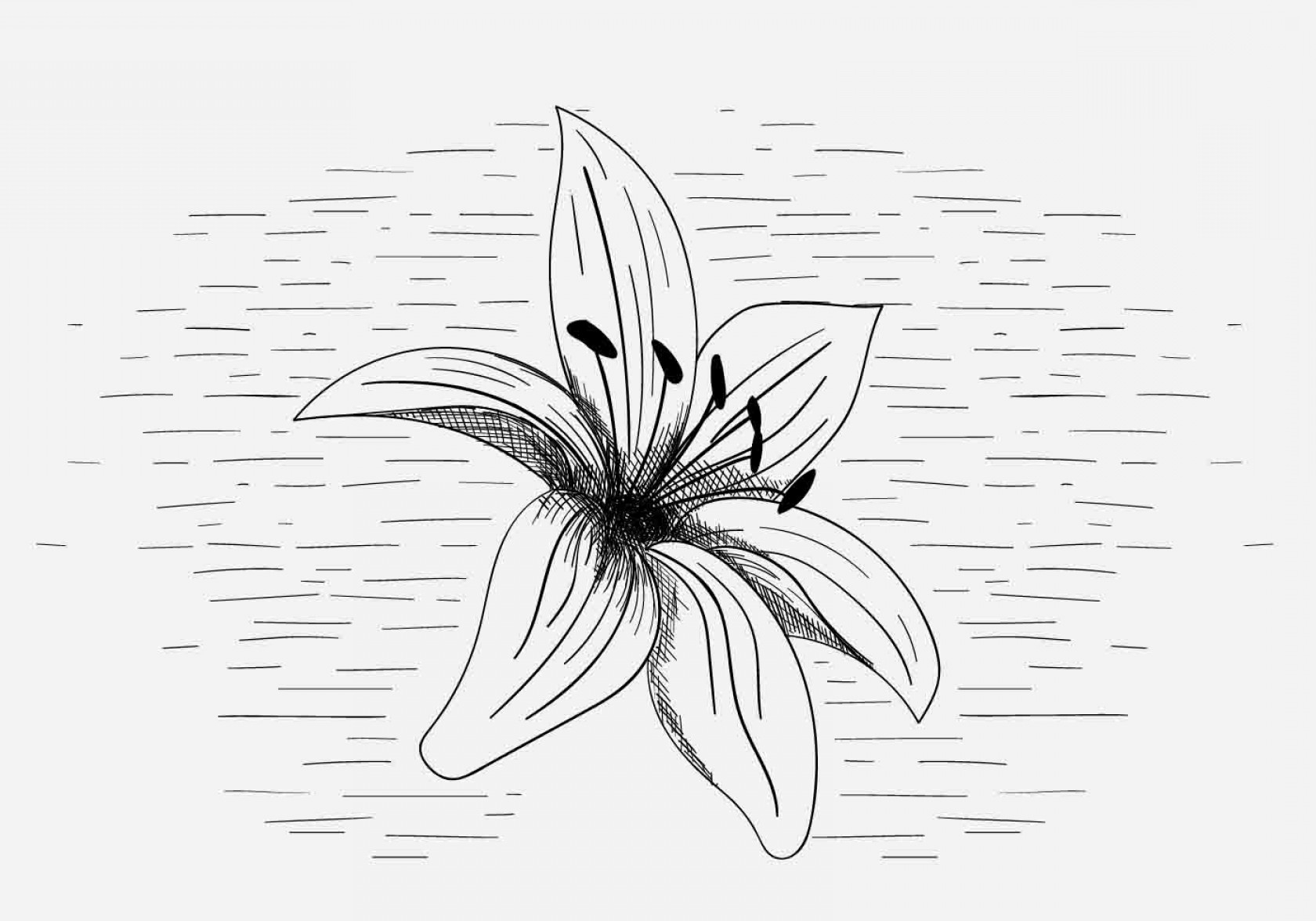 Glowing sea lily coloring page