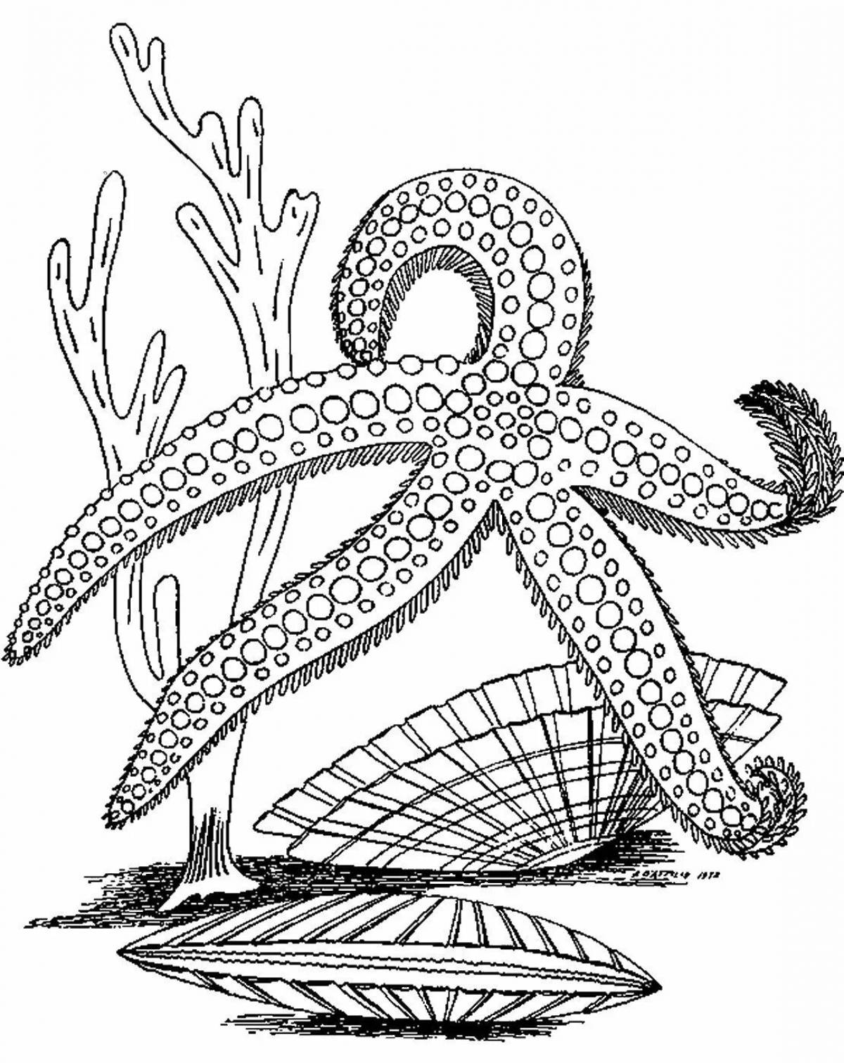 Rampant sea lily coloring page