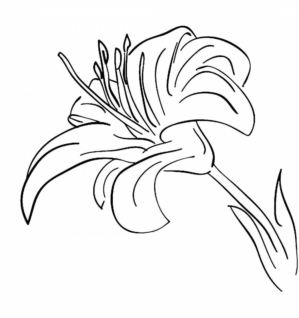 Радостная морская лилия раскраска