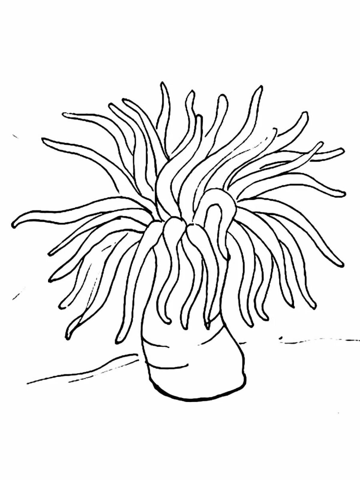 Glittering sea lily coloring page
