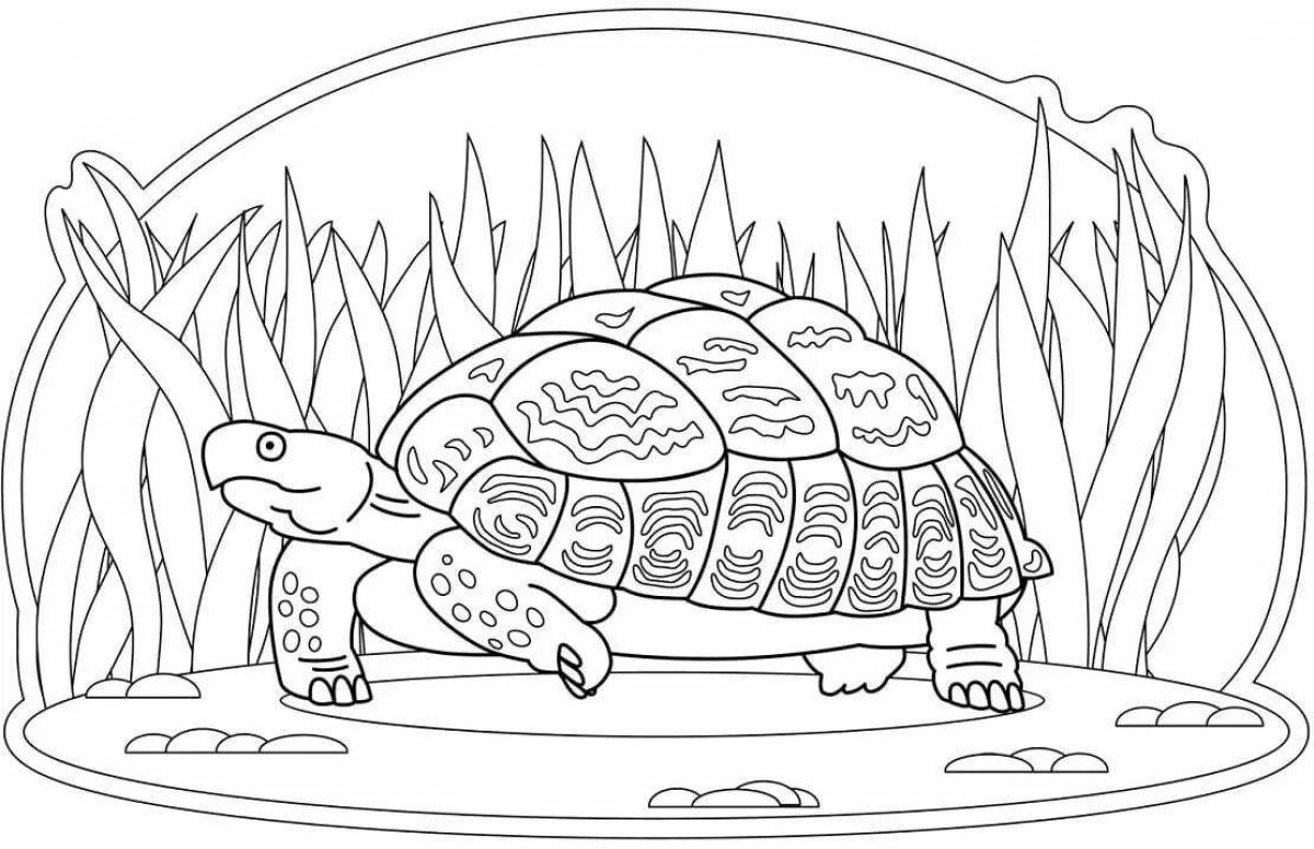 Exotic sea turtle coloring page