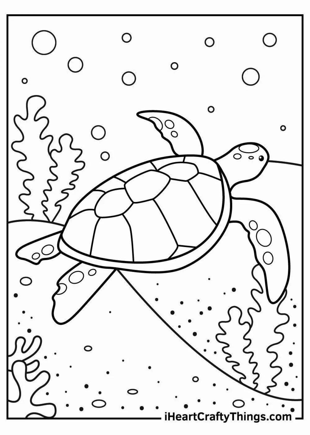 Amazing sea turtle coloring page