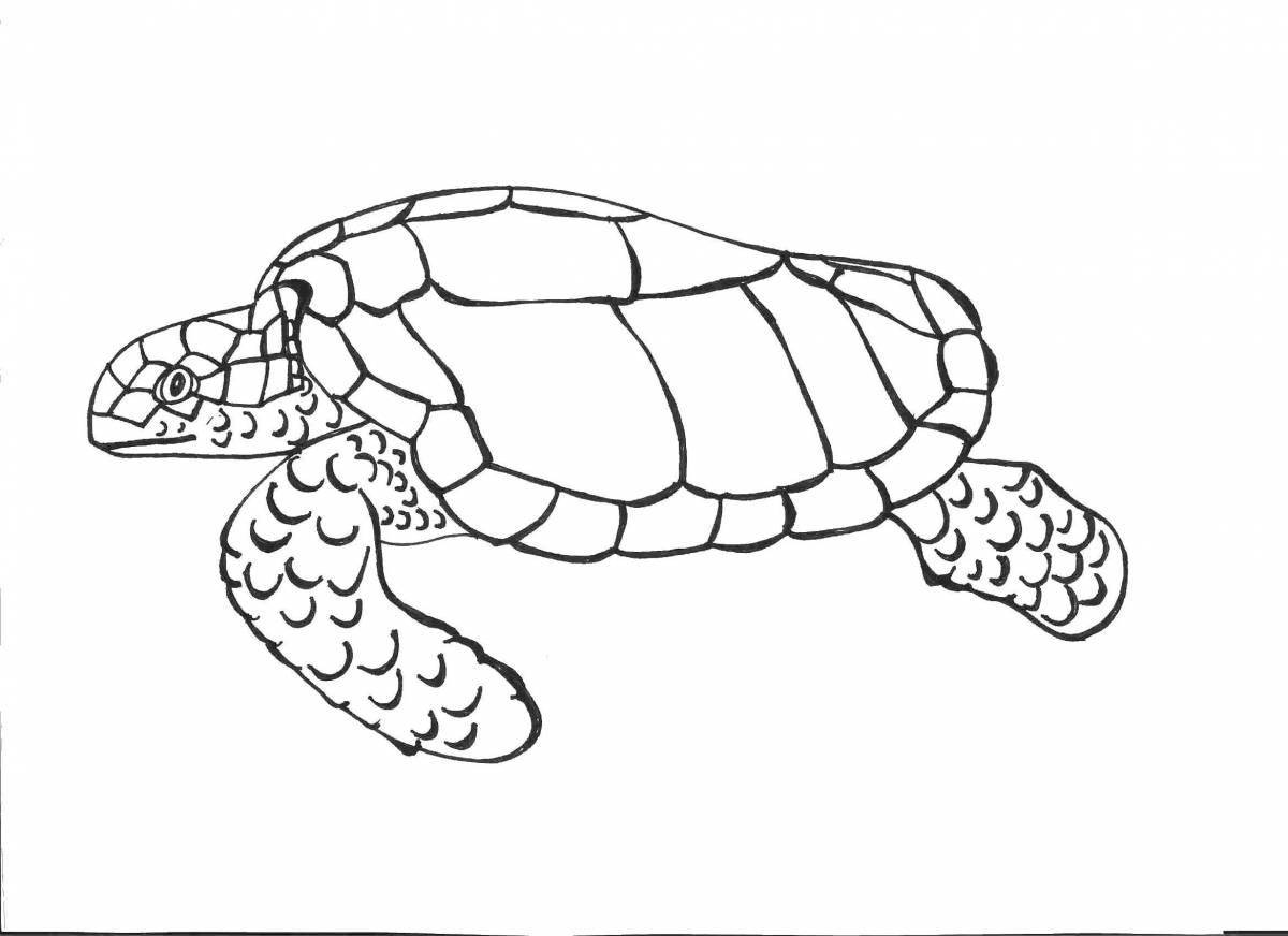Colouring serene sea turtle