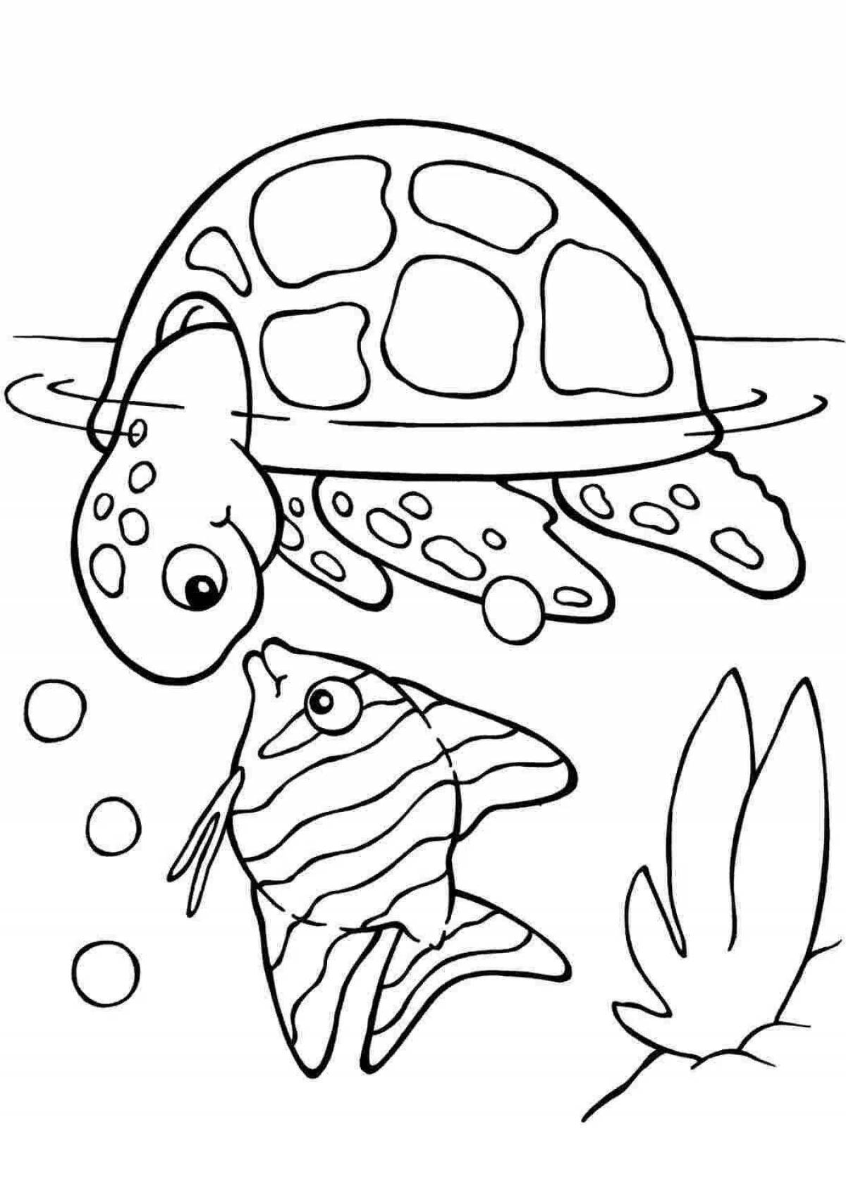 Coloring live sea turtle