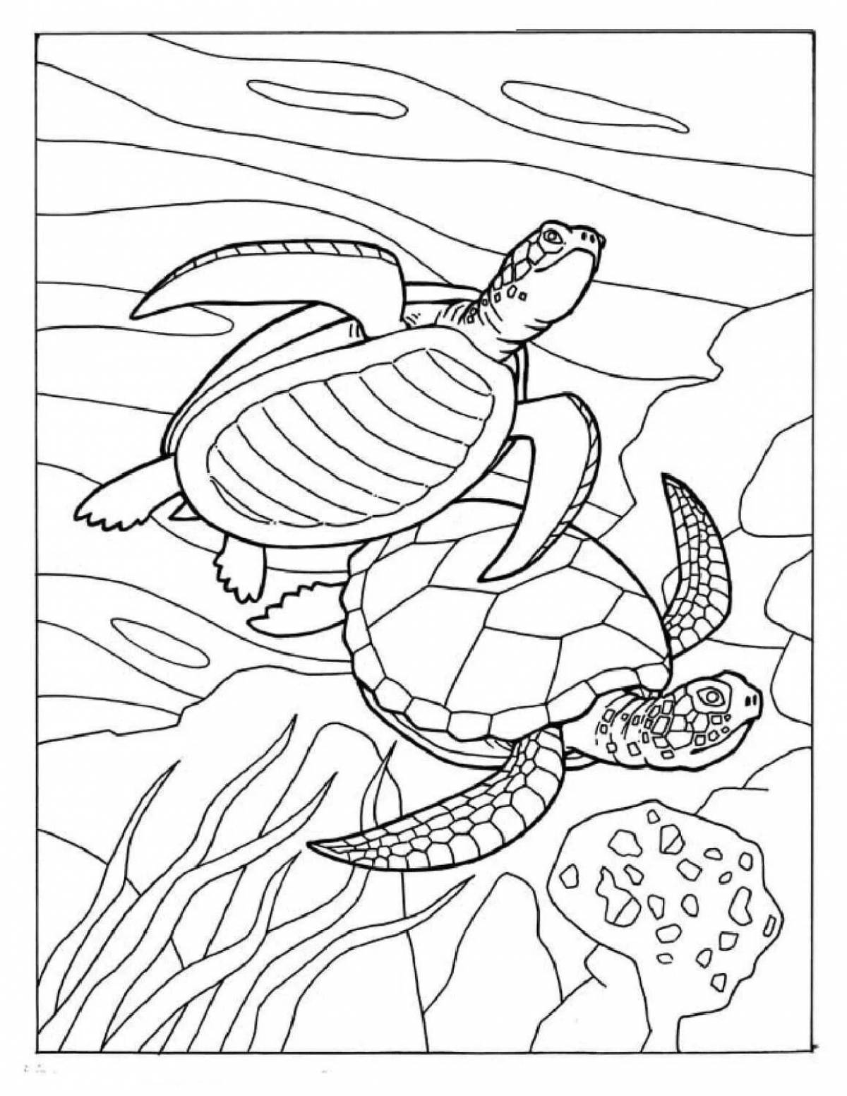 Great sea turtle coloring page