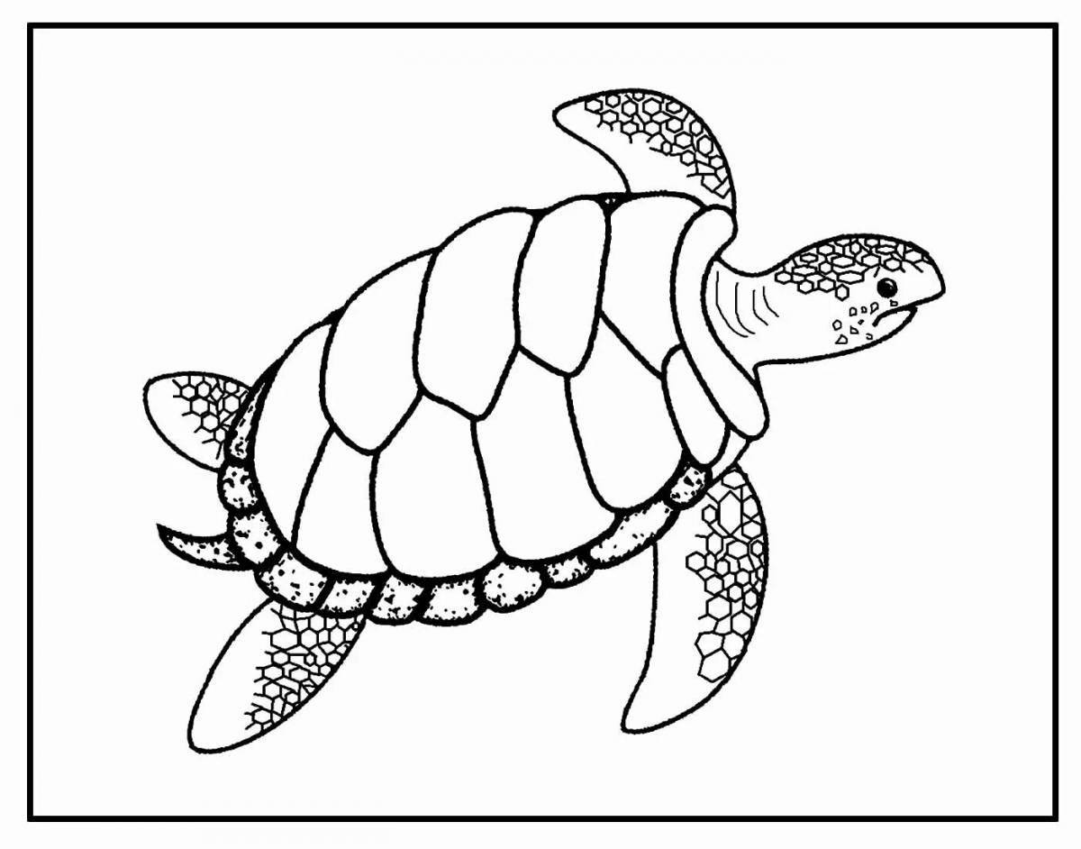 Sea turtles #2