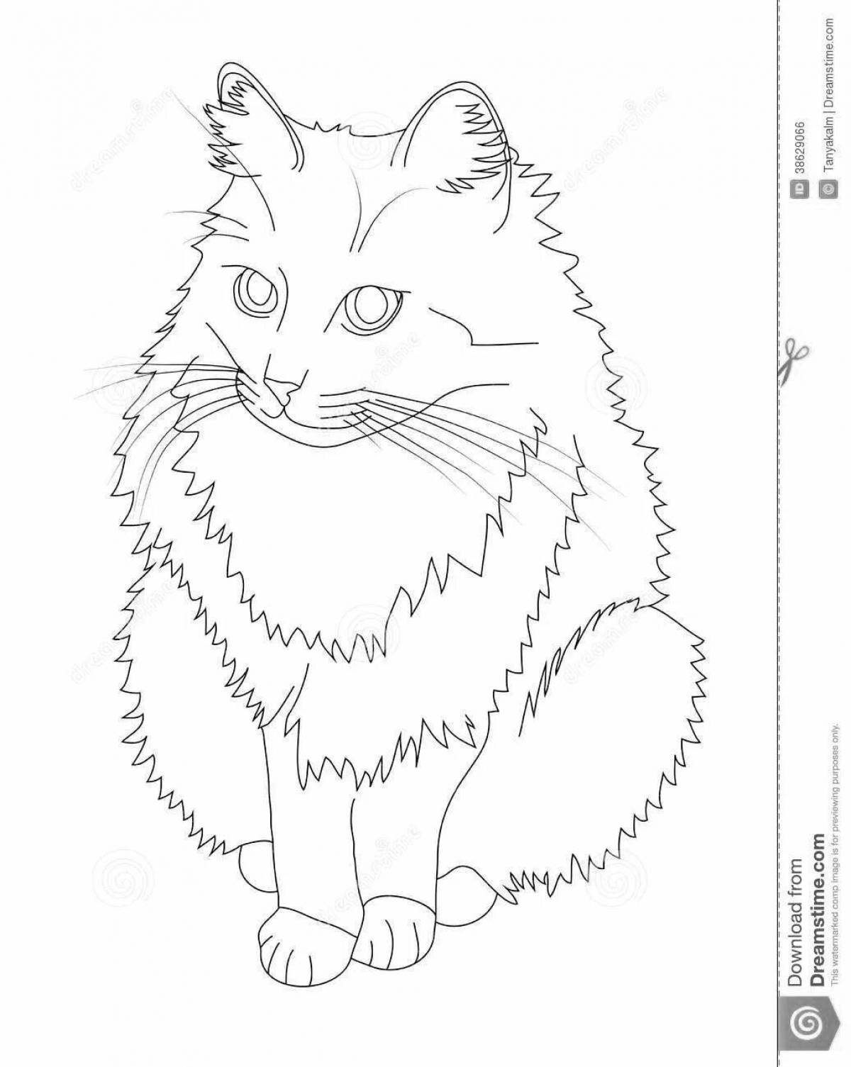 Coloring page elegant siberian cat