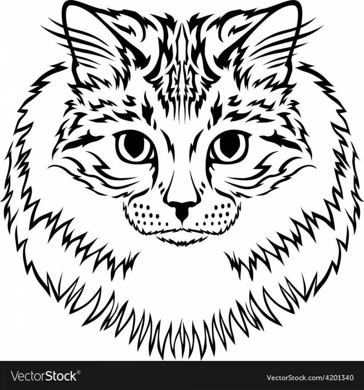 Раскраска яркая сибирская кошка
