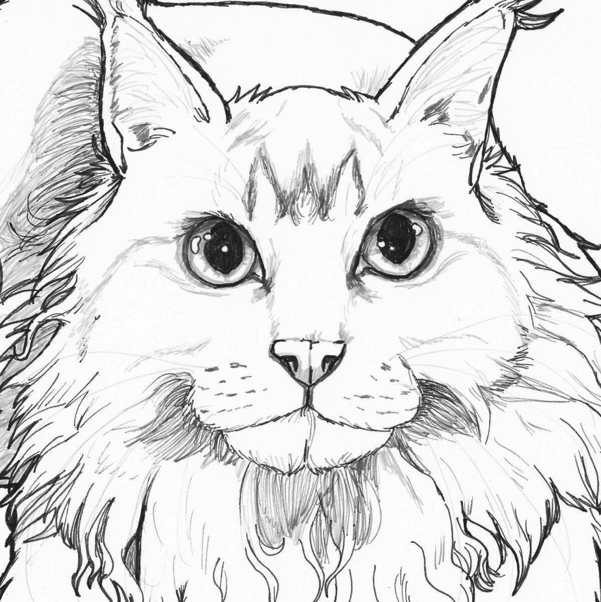 Красочная страница раскраски сибирской кошки