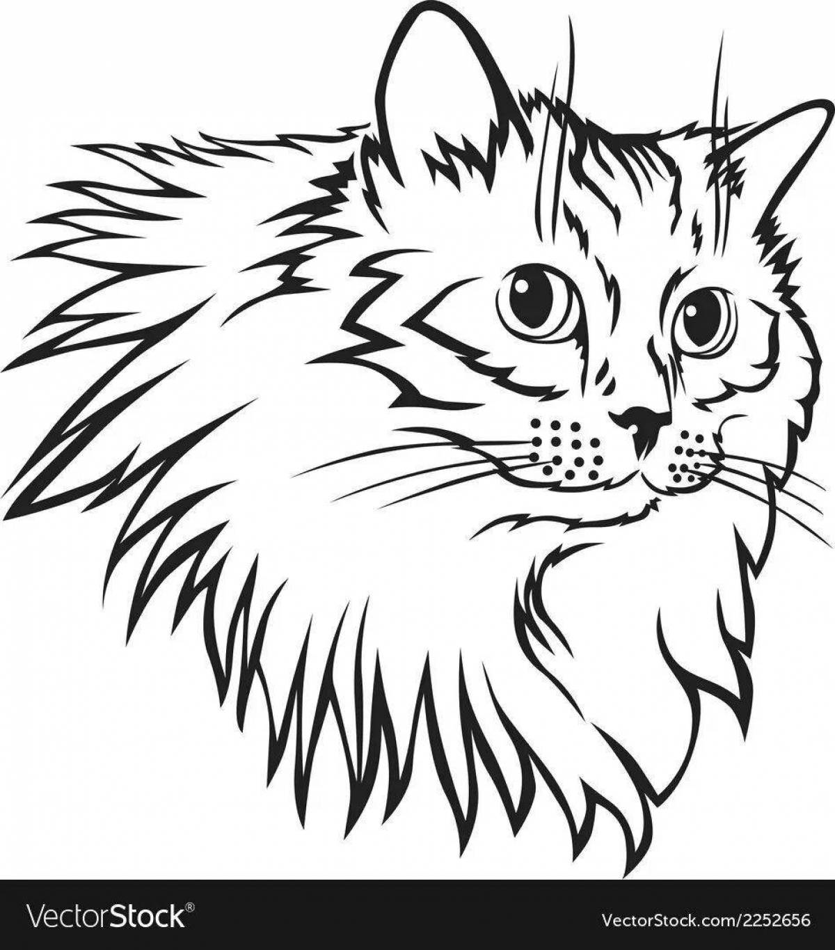 Раскраска дружелюбная сибирская кошка