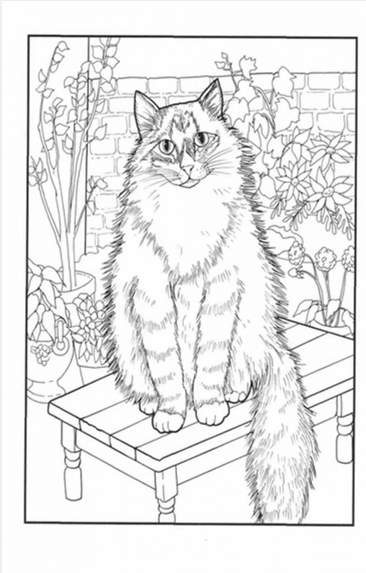 Coloring book calm siberian cat
