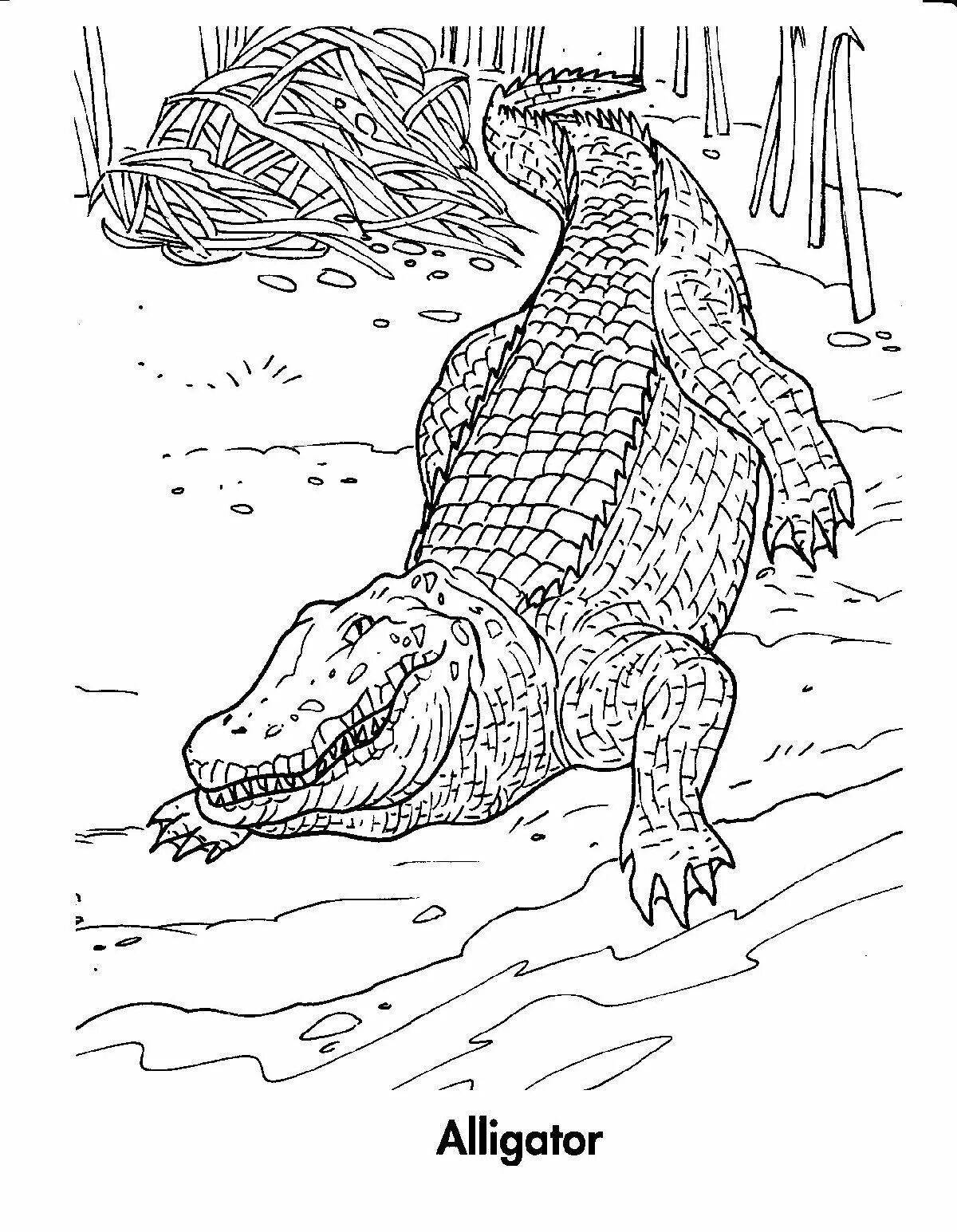 Colourful scalloped crocodile coloring page