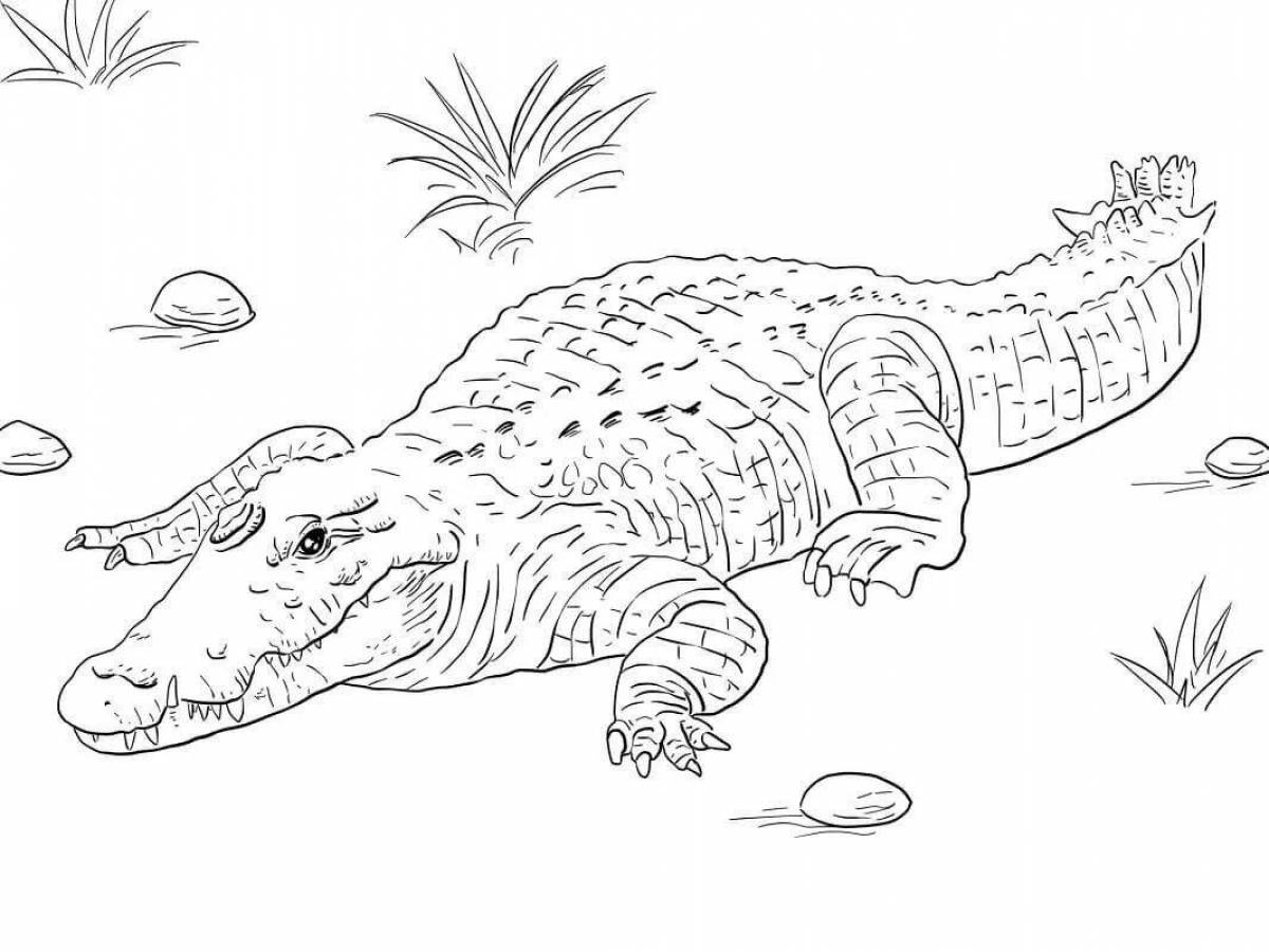 Coloring book playful scalloped crocodile